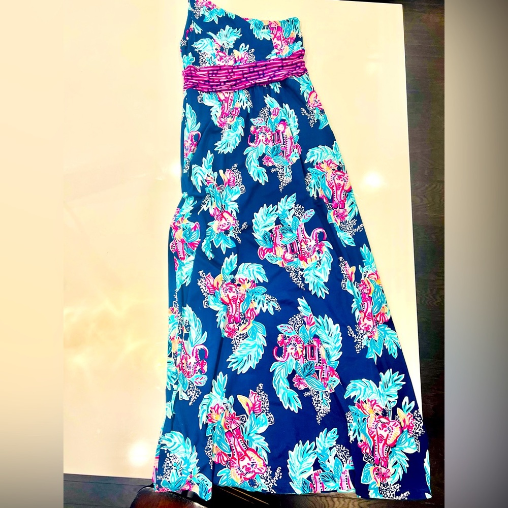 Lilly Pulitzer Maxi Dress Size M